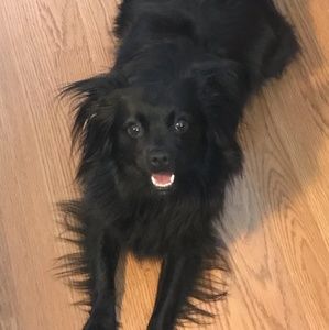 Meet your Posher, Anita